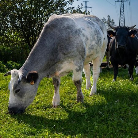 Geetkotmolenhoeve Lochristi Zewnętrze zdjęcie